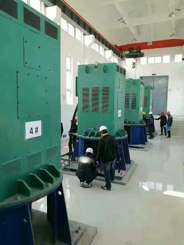 汉阴某污水处理厂使用我厂的立式高压电机安装现场