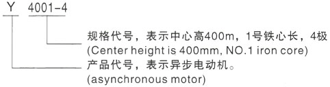 西安泰富西玛Y系列(H355-1000)高压汉阴三相异步电机型号说明